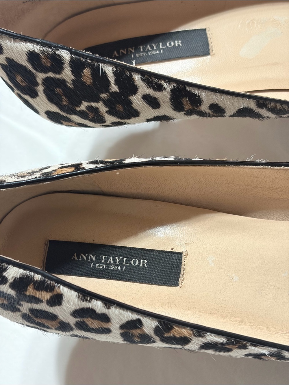 Ann Taylor Leopard-Print Pointed Toe Flats - Black, Brown, Cream - Picture 13 of 15